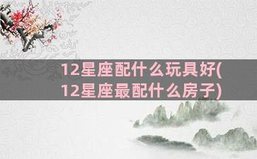 12星座配什么玩具好(12星座最配什么房子)