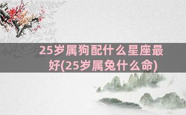 25岁属狗配什么星座最好(25岁属兔什么命)