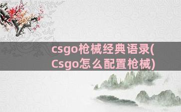 csgo枪械经典语录(Csgo怎么配置枪械)