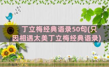 丁立梅经典语录50句(只因相遇太美丁立梅经典语录)