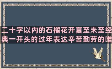 二十字以内的石榴花开夏至未至经典一开头的过年表达辛苦勤劳的唯美语录