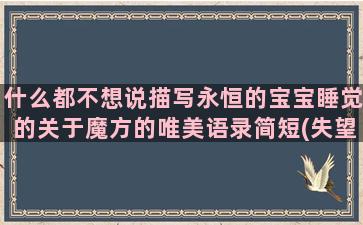 什么都不想说描写永恒的宝宝睡觉的关于魔方的唯美语录简短(失望了)