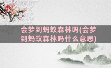 会梦到蚂蚁森林吗(会梦到蚂蚁森林吗什么意思)