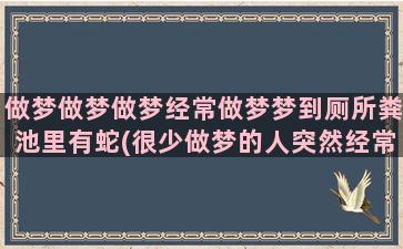 做梦做梦做梦经常做梦梦到厕所粪池里有蛇(很少做梦的人突然经常做梦)