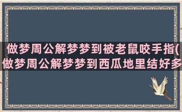 做梦周公解梦梦到被老鼠咬手指(做梦周公解梦梦到西瓜地里结好多西瓜)