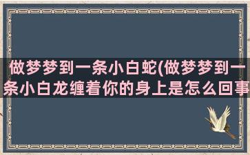 做梦梦到一条小白蛇(做梦梦到一条小白龙缠着你的身上是怎么回事)