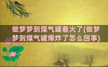 做梦梦到煤气罐着火了(做梦梦到煤气罐爆炸了怎么回事)