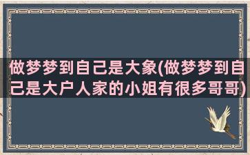 做梦梦到自己是大象(做梦梦到自己是大户人家的小姐有很多哥哥)