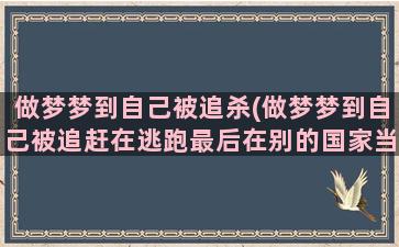 做梦梦到自己被追杀(做梦梦到自己被追赶在逃跑最后在别的国家当学生了)