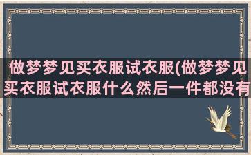 做梦梦见买衣服试衣服(做梦梦见买衣服试衣服什么然后一件都没有买)