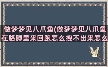 做梦梦见八爪鱼(做梦梦见八爪鱼在胳膊里来回跑怎么拽不出来怎么意思)