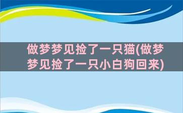 做梦梦见捡了一只猫(做梦梦见捡了一只小白狗回来)