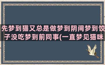 先梦到猫又总是做梦到阴间梦到饺子没吃梦到前同事(一直梦见猫咪)