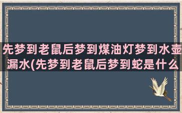 先梦到老鼠后梦到煤油灯梦到水壶漏水(先梦到老鼠后梦到蛇是什么意思)