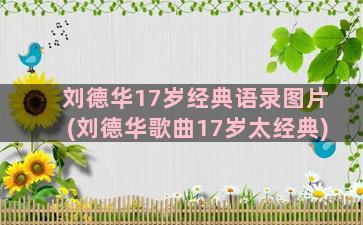 刘德华17岁经典语录图片(刘德华歌曲17岁太经典)