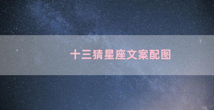 十三猜星座文案配图