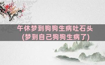 午休梦到狗狗生病吐石头(梦到自己狗狗生病了)