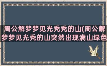 周公解梦梦见光秃秃的山(周公解梦梦见光秃的山突然出现满山绿色植物)