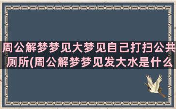 周公解梦梦见大梦见自己打扫公共厕所(周公解梦梦见发大水是什么意思)