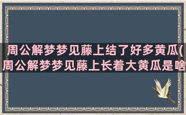 周公解梦梦见藤上结了好多黄瓜(周公解梦梦见藤上长着大黄瓜是啥意思)