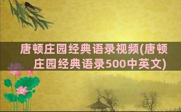 唐顿庄园经典语录视频(唐顿庄园经典语录500中英文)