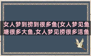 女人梦到捞到很多鱼(女人梦见鱼塘很多大鱼,女人梦见捞很多活鱼)