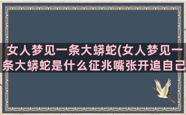 女人梦见一条大蟒蛇(女人梦见一条大蟒蛇是什么征兆嘴张开追自己)