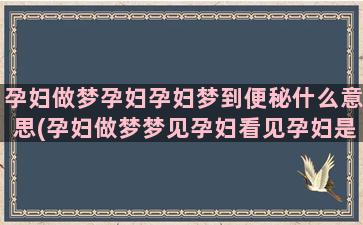 孕妇做梦孕妇孕妇梦到便秘什么意思(孕妇做梦梦见孕妇看见孕妇是什么)