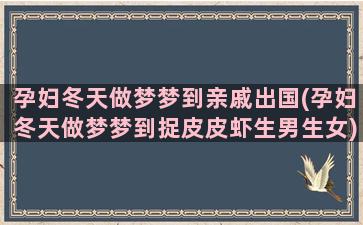 孕妇冬天做梦梦到亲戚出国(孕妇冬天做梦梦到捉皮皮虾生男生女)