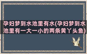 孕妇梦到水池里有水(孕妇梦到水池里有一大一小的两条黄丫头鱼)