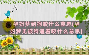 孕妇梦到狗咬什么意思(孕妇梦见被狗追着咬什么意思)