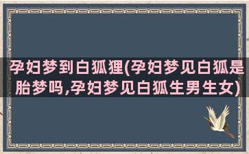 孕妇梦到白狐狸(孕妇梦见白狐是胎梦吗,孕妇梦见白狐生男生女)