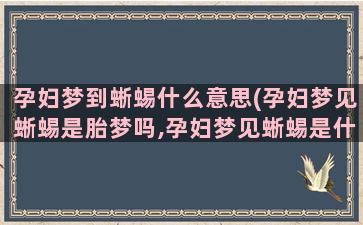 孕妇梦到蜥蜴什么意思(孕妇梦见蜥蜴是胎梦吗,孕妇梦见蜥蜴是什么预兆)