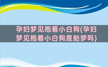 孕妇梦见抱着小白狗(孕妇梦见抱着小白狗是胎梦吗)