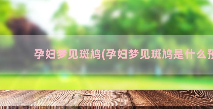 孕妇梦见斑鸠(孕妇梦见斑鸠是什么预兆)