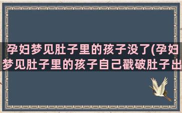 孕妇梦见肚子里的孩子没了(孕妇梦见肚子里的孩子自己戳破肚子出来了)