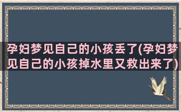 孕妇梦见自己的小孩丢了(孕妇梦见自己的小孩掉水里又救出来了)