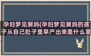 孕妇梦见舅妈(孕妇梦见舅妈的孩子从自己肚子里早产出来是什么意思)