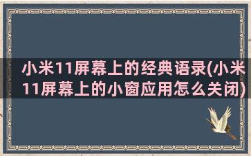 小米11屏幕上的经典语录(小米11屏幕上的小窗应用怎么关闭)