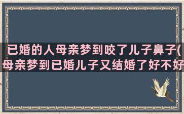 已婚的人母亲梦到咬了儿子鼻子(母亲梦到已婚儿子又结婚了好不好)