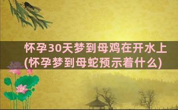 怀孕30天梦到母鸡在开水上(怀孕梦到母蛇预示着什么)