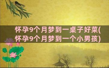 怀孕9个月梦到一桌子好菜(怀孕9个月梦到一个小男孩)