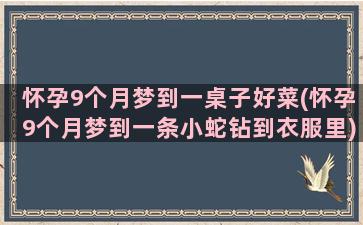 怀孕9个月梦到一桌子好菜(怀孕9个月梦到一条小蛇钻到衣服里)