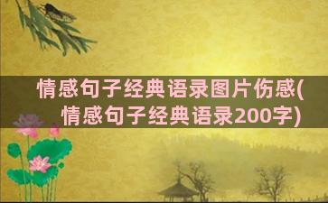 情感句子经典语录图片伤感(情感句子经典语录200字)