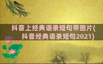 抖音上经典语录短句带图片(抖音经典语录短句2021)