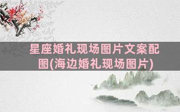 星座婚礼现场图片文案配图(海边婚礼现场图片)