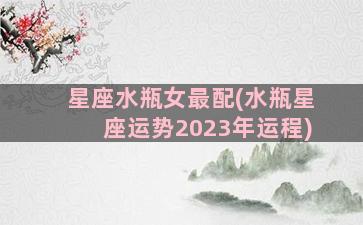 星座水瓶女最配(水瓶星座运势2023年运程)