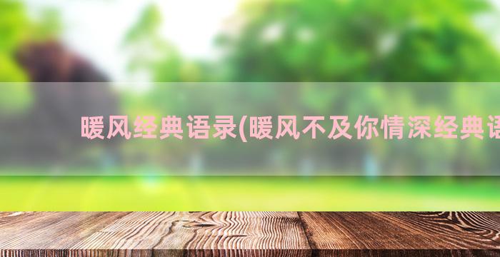 暖风经典语录(暖风不及你情深经典语录)