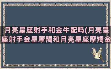 月亮星座射手和金牛配吗(月亮星座射手金星摩羯和月亮星座摩羯金星天蝎合适吗)