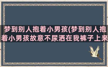 梦到别人抱着小男孩(梦到别人抱着小男孩故意不尿洒在我裤子上来了)